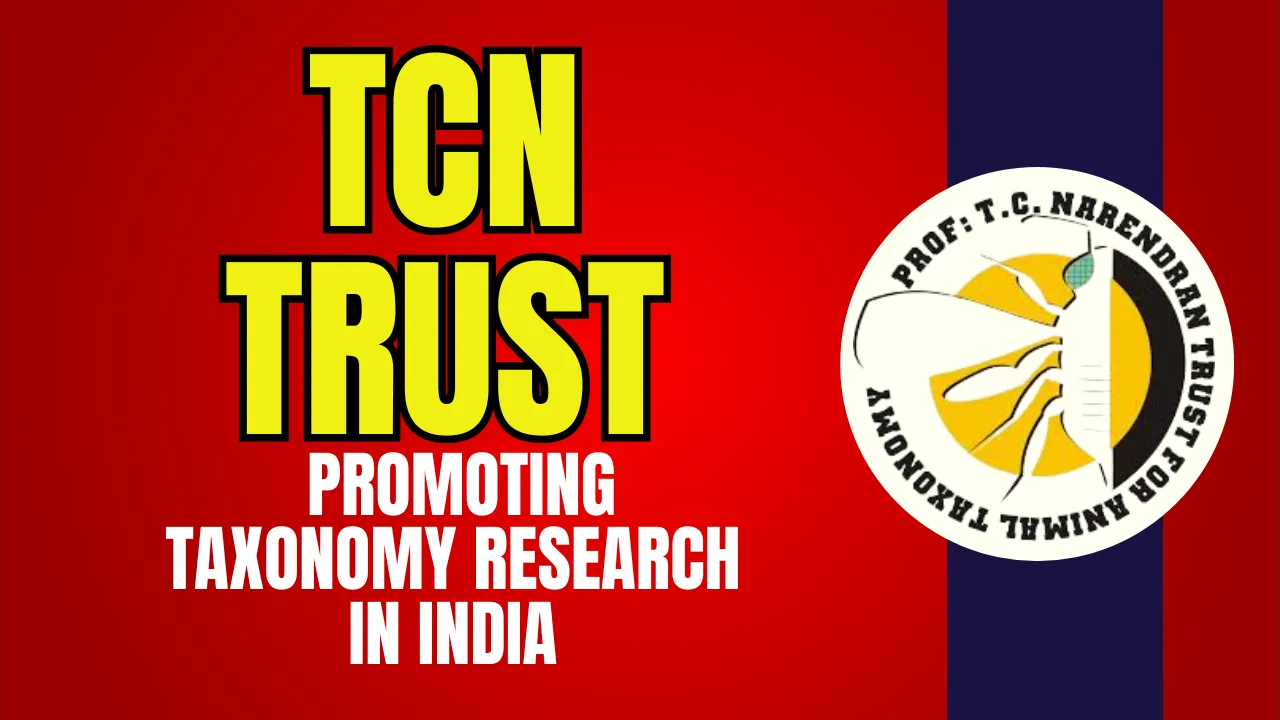 TCN Trust