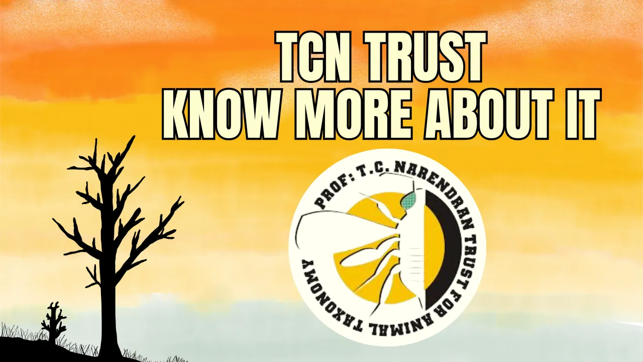 TCN Trust