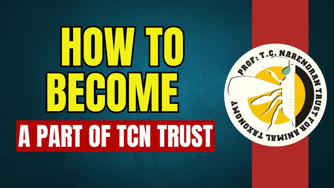 TCN Trust